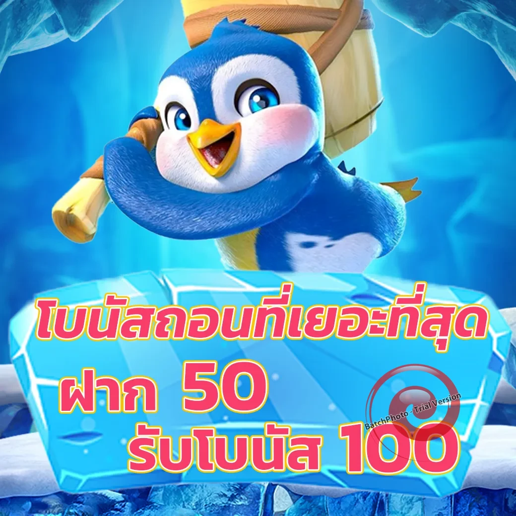 noah345 ทางเข้า